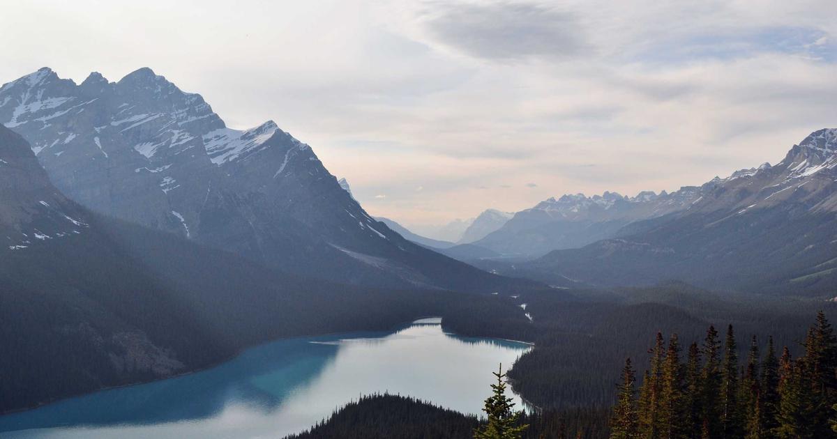 From the Lab Bench to the Local Trail: Why Peptide Researchers Need Real Adventures